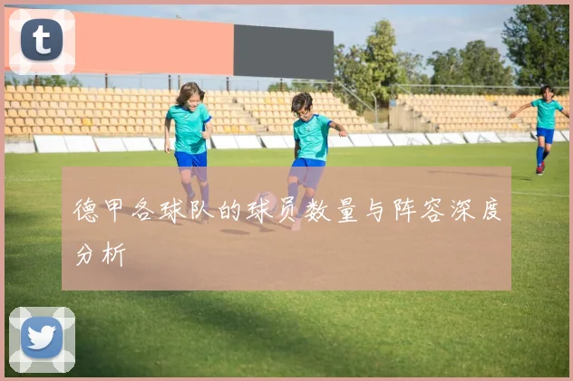 德甲各球队的球员数量与阵容深度分析