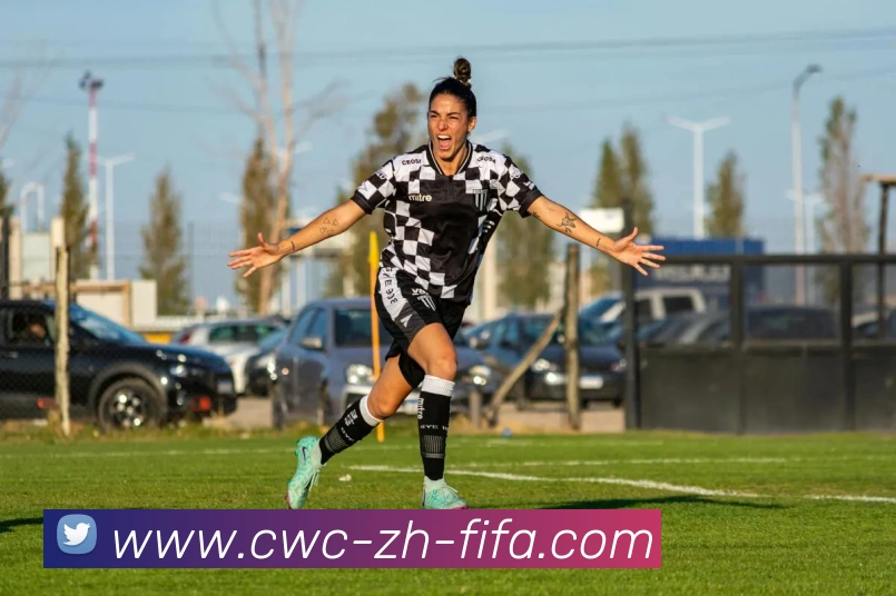 世界杯买球平台生态图