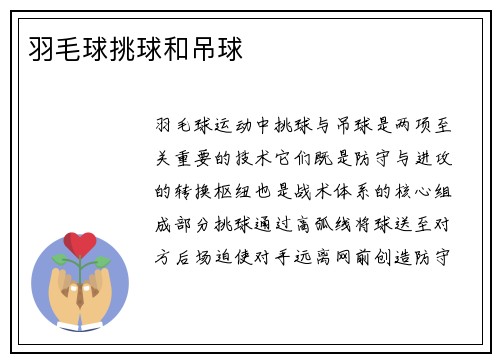 羽毛球挑球和吊球