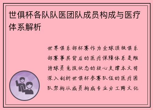 世俱杯各队队医团队成员构成与医疗体系解析
